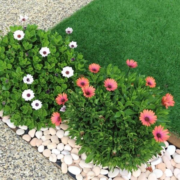 césped artificial en Granada